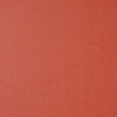 Robert Allen Mileath Terracotta Essentials Collection Indoor Upholstery Fabric
