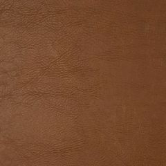 Robert Allen Tusculum Truffle Essentials Collection Indoor Upholstery Fabric