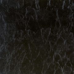 Robert Allen Surrogate Black Ice Essentials Collection Indoor Upholstery Fabric