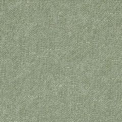 Duralee Forest 32811-184 Decor Fabric