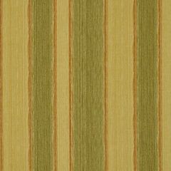 Robert Allen Contract Wish Again Butterscotch 1243 Indoor Upholstery Fabric