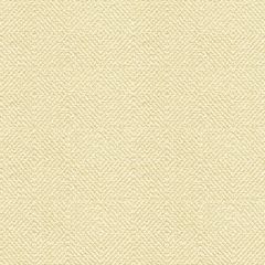 Kravet Smart White 32924-1 Guaranteed in Stock Indoor Upholstery Fabric