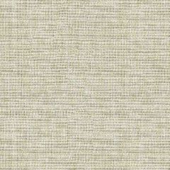 Kravet Basics Standford Pewter 33406-1611 Waterside Collection by Jeffrey Alan Marks Indoor Upholstery Fabric
