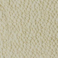 Beacon Hill Mab Circles Pale Citrine Color Library Collection Indoor Upholstery Fabric