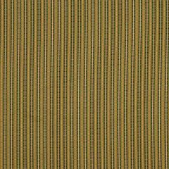 Robert Allen Contract Sunset Strip Meadow Indoor Upholstery Fabric