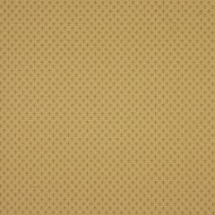 Robert Allen Sweet Jane Nutmeg 141643 Indoor Upholstery Fabric