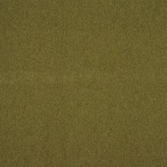 Robert Allen Orvis Bonsai 141659 Indoor Upholstery Fabric