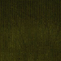 Robert Allen Faina Bonsai Color Library Collection Indoor Upholstery Fabric