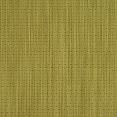 Robert Allen Wilder Bonsai 141724 Indoor Upholstery Fabric