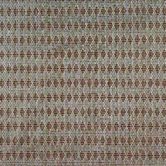 Robert Allen Shiny Diamond Mocha Color Library Collection Indoor Upholstery Fabric