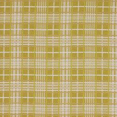 Robert Allen Tartan Web Pear 142841 Indoor Upholstery Fabric