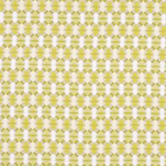 Robert Allen Proflex Aloe 142872 Indoor Upholstery Fabric