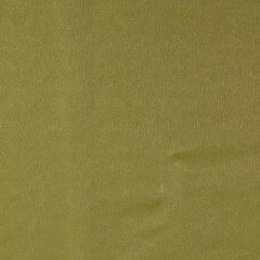 Robert Allen Kim Crackle Celery Color Library Collection Indoor Upholstery Fabric