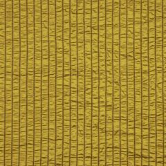 Robert Allen Fellowship Cactus 142888 Indoor Upholstery Fabric