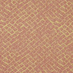 Robert Allen Clandestine Guava 142916 Indoor Upholstery Fabric