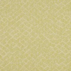 Robert Allen Clandestine Pear 142917 Indoor Upholstery Fabric