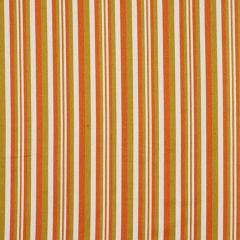 Robert Allen Tent Meeting Mango Color Library Collection Indoor Upholstery Fabric