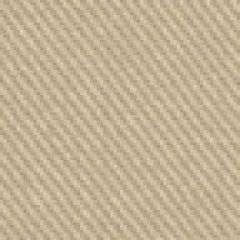 Robert Allen Success Stone 145002 Shade Store Collection Indoor Upholstery Fabric