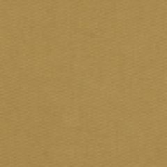 Robert Allen Success Biscuit 145004 Indoor Upholstery Fabric