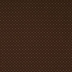 Robert Allen Haberkorn Java 145497 Indoor Upholstery Fabric