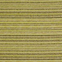 Robert Allen Gericke Lemongrass 145531 Indoor Upholstery Fabric
