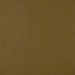 Robert Allen Baby Ostrich Cashew Essentials Collection Indoor Upholstery Fabric