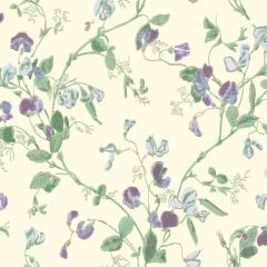 Cole and Son Sweet Pea Violet 100-6030 Archive Anthology Collection Wall Covering