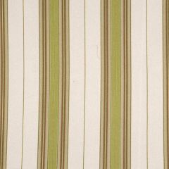 Robert Allen Degostino Lemongrass Color Library Collection Indoor Upholstery Fabric
