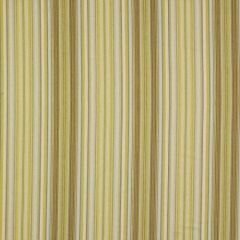 Robert Allen Surf Casting Lemongrass 146615 Indoor Upholstery Fabric
