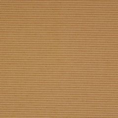 Robert Allen Amandine Hibiscus 147243 Indoor Upholstery Fabric