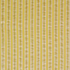 Robert Allen Lines Within Sun 147262 Indoor Upholstery Fabric