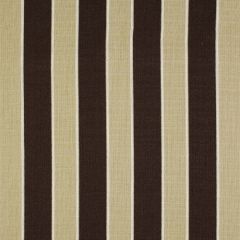 Robert Allen Myron Stripe Java 147369 Indoor Upholstery Fabric