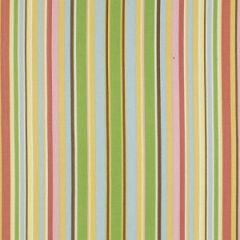 Robert Allen Kimora Stripe Papaya Color Library Multipurpose Collection Indoor Upholstery Fabric