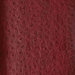 Kravet Senna Red 909 Indoor Upholstery Fabric