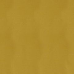 Robert Allen Taurus Gold 149777 Indoor Upholstery Fabric