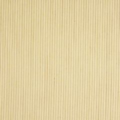 Robert Allen Mini Twine Pineapple 149799 Indoor Upholstery Fabric