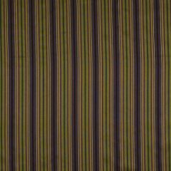 Robert Allen Sweet Stripes Agate 149808 Indoor Upholstery Fabric