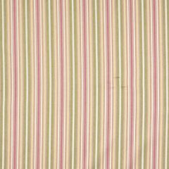 Robert Allen Sweet Stripes Grapefruit Essentials Collection Indoor Upholstery Fabric
