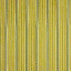 Robert Allen Sweet Stripes Garden 149816 Indoor Upholstery Fabric