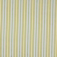 Robert Allen Sweet Stripes Botanical 149818 Indoor Upholstery Fabric