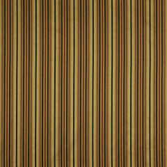 Robert Allen Sweet Stripes Empire Essentials Collection Indoor Upholstery Fabric