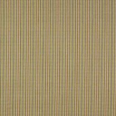 Robert Allen Twin Hills Boxwood Essentials Collection Indoor Upholstery Fabric