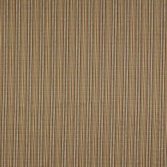 Robert Allen Twin Hills Hazelnut Essentials Collection Indoor Upholstery Fabric