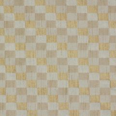 Robert Allen Checker Panel Spa Essentials Multi Purpose Collection Indoor Upholstery Fabric