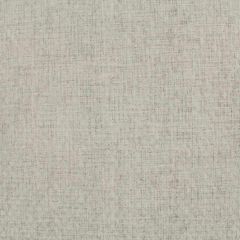 Robert Allen Weavescene Emb Grey 214571 Dwell Collection Drapery Fabric