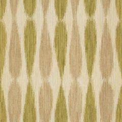 Lee Jofa Modern Ikat Drops Lime GWF-2927-23 by Allegra Hicks Indoor Upholstery Fabric