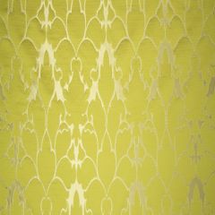 Beacon Hill Blossom Frame-Chartreuse 243691 Decor Drapery Fabric