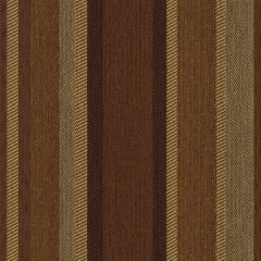 Kravet Roadline Brown Sugar 31543-6 Indoor Upholstery Fabric