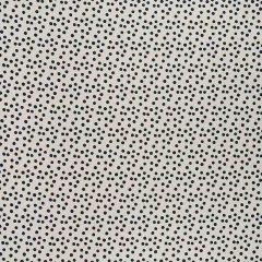 F Schumacher Roxy Black 176410 Clique Collection Indoor Upholstery Fabric