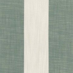 Perennials Vintage Stripe Grass 865-250 Camp Wannagetaway Collection Upholstery Fabric